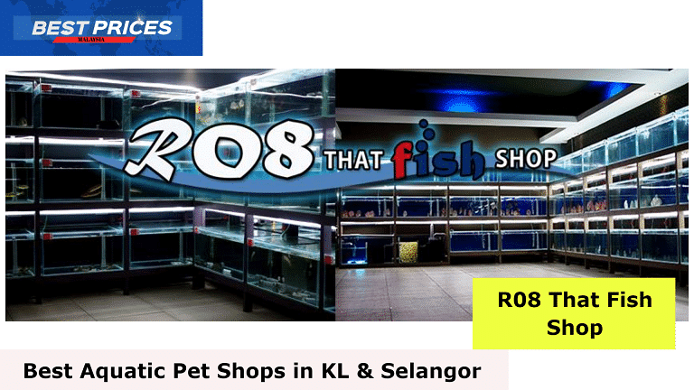 R08 That Fish Shop - Aquatic Pet Shop KL Selangor, Aquatic Pet Shop KL Selangor, Aquatic Pets KL Selangor, Aquarium Shops KL, Best Aquatic Pet Shops KL Selangor, aquatic pet shop near me, aquarium shop near me, aquarium shop near seri kembangan selangor, aquarium shop in klang, aquarium shop near me open now, aquarium shop near kuala lumpur federal territory of kuala lumpur, aquarium shop old klang road, best aquarium shop near me, Aquarium shop in selangor,