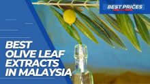 Ekstrak Daun Zaitun Berkualiti Terbaik di Malaysia 2024 untuk Membantu jangkitan, keradangan, diabetes dan hipertensi
